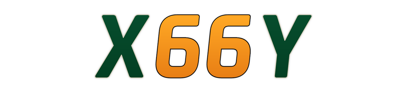 x66y